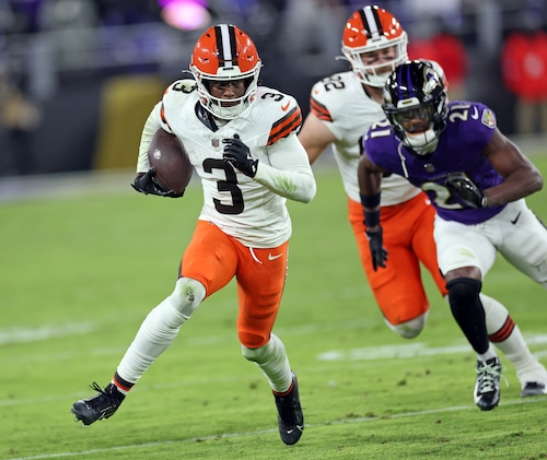 Cleveland Browns vs. Baltimore Ravens, January 4, 2025