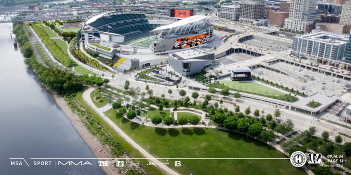 Bengals criticize Hamilton County prosecutor over stadium comments