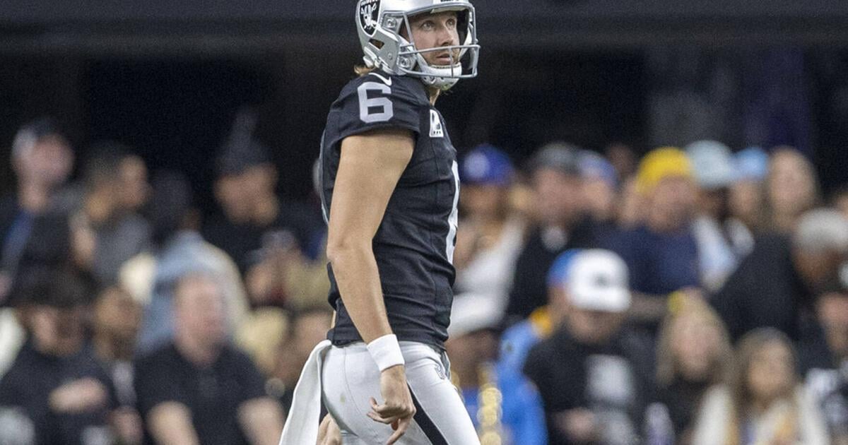 Raiders, Cole agree to extension to make him NFL’s highest-paid punter | National