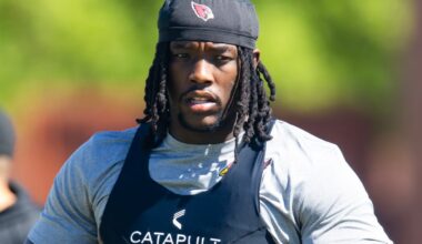 Arizona Cardinals DL Darius Robinson learned from a difficult 2024