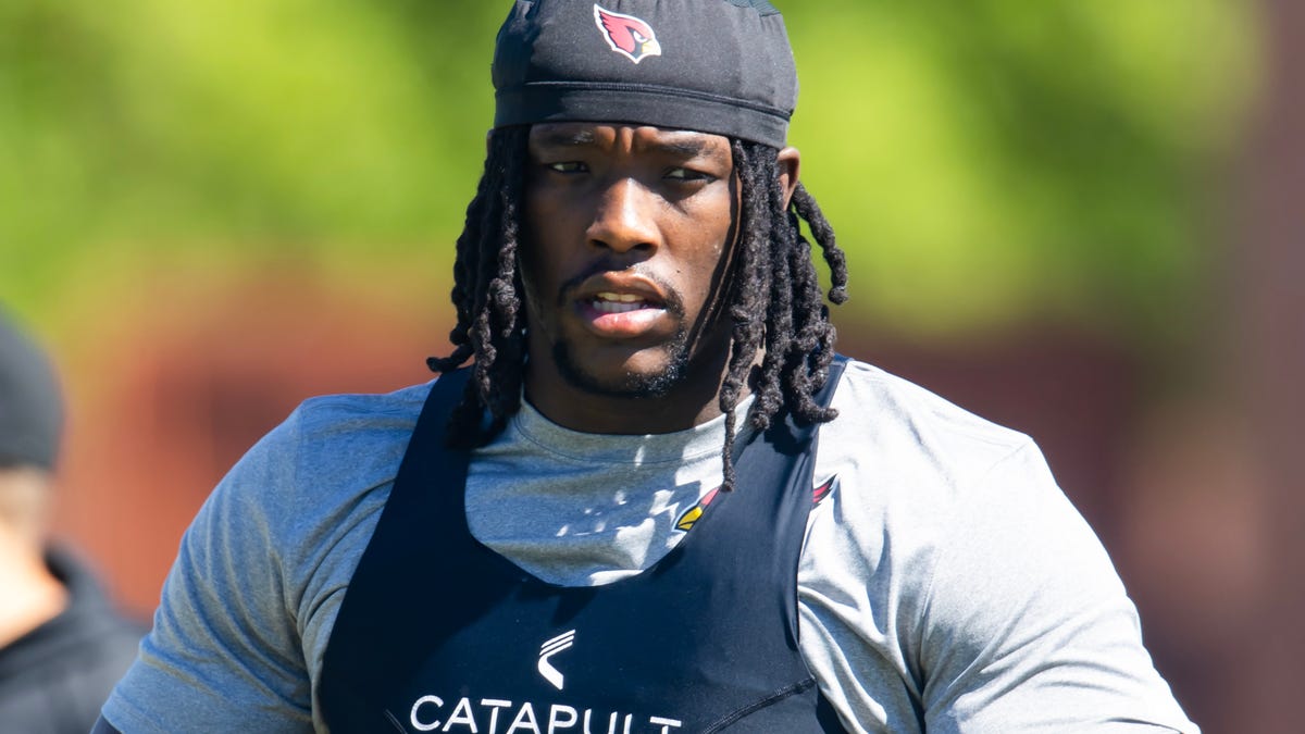 Arizona Cardinals DL Darius Robinson learned from a difficult 2024