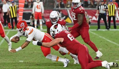 Arizona Cardinals waive DL Ben Stille