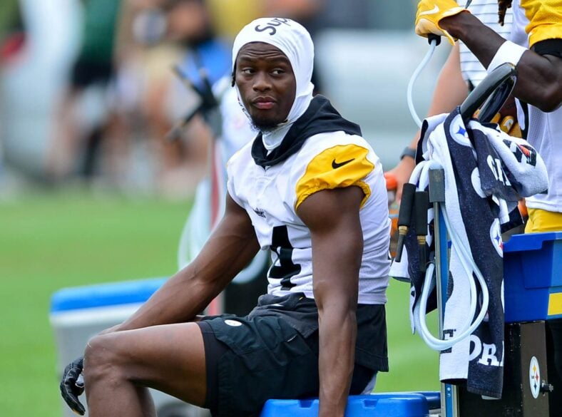 Pittsburgh Steelers WR George Pickens