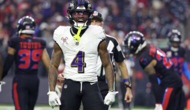 Zay Flowers stats, game log, news, injury status