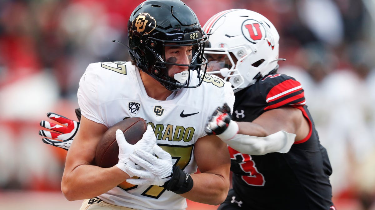 Check out these highlights of tryout TE Mikey Harrison