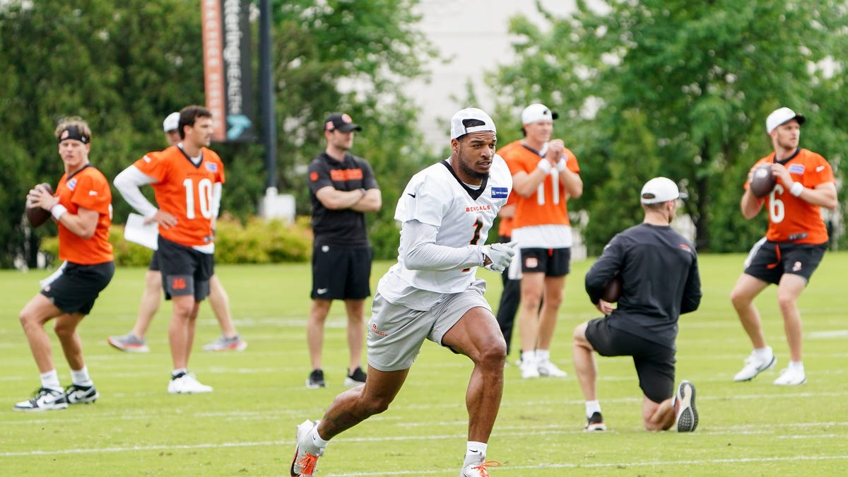 Betting lines for every Bengals game in 2025: Cincy favored 10 times