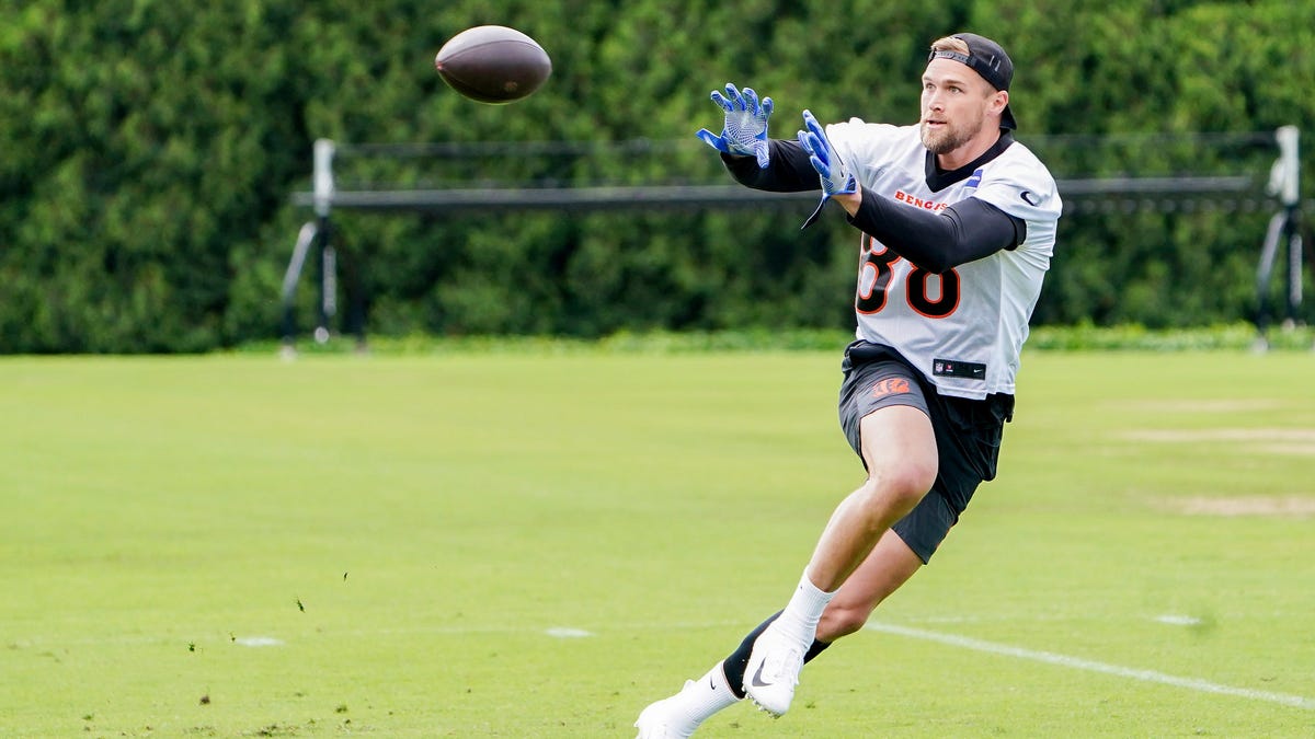 Bengals' updated roster by jersey number as OTAs start