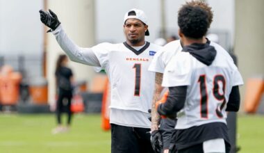 Bengals' Ja'Marr Chase, Tee Higgins hit Kings Island