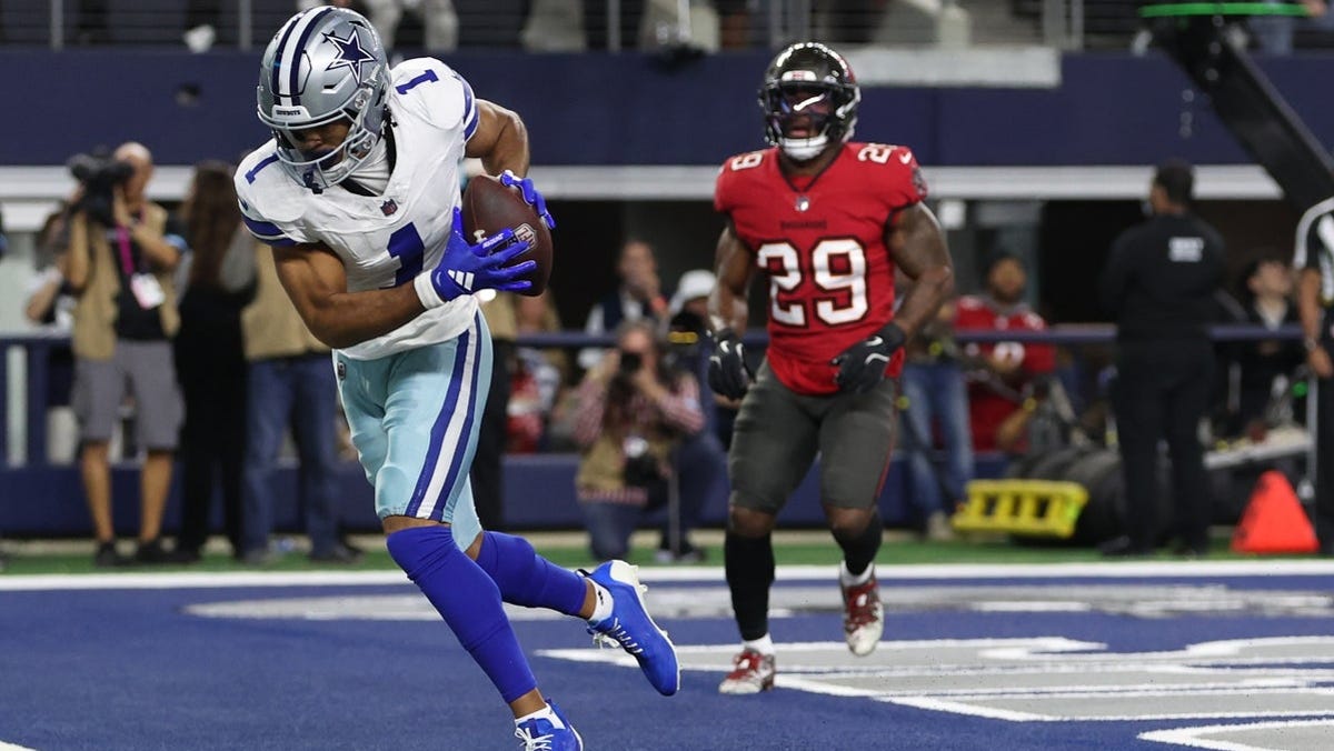 Lavonte David stats, game log, news, injury status