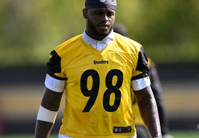 Pittsburgh Steelers DT Demarvin Leal