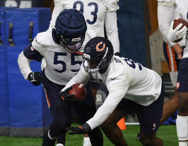 Dayo Odeyingbo (55) and Dominique Robinson (90) work out during the Bears organized team activities in the Walter Payton Center at Halas Hall on May 21, 2025, in Lake Forest. (John J. Kim/Chicago Tribune)