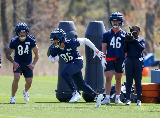 Tight end Joel Wilson (86), center, practices during Chicago Bears rookie camp at Halas Hall on May 9, 2025, in Lake Forest. On the left is first-round draft pick Colston Loveland and on the right is Thomas Gordon. Both are tight ends. (Stacey Wescott/Chicago Tribune)
