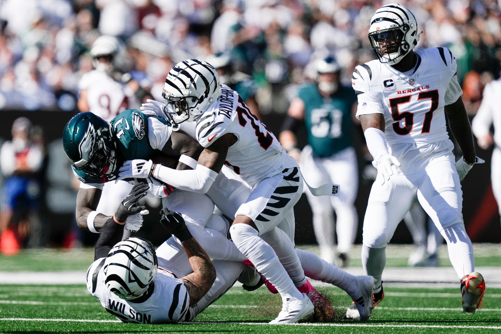Philadelphia Eagles wide receiver A.J. Brown, center, is tackled by Cincinnati Bengals linebacker Logan Wilson, left, and cornerback Cam Taylor-Britt by during the first half of an NFL football game, Sunday, Oct. 27, 2024 in Cincinnati. Bengals' Germaine Pratt (57) looks on. (AP Photo/Carolyn Kaster)