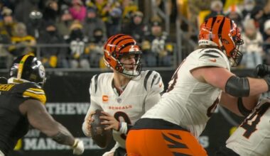 AFC North QB room rankings