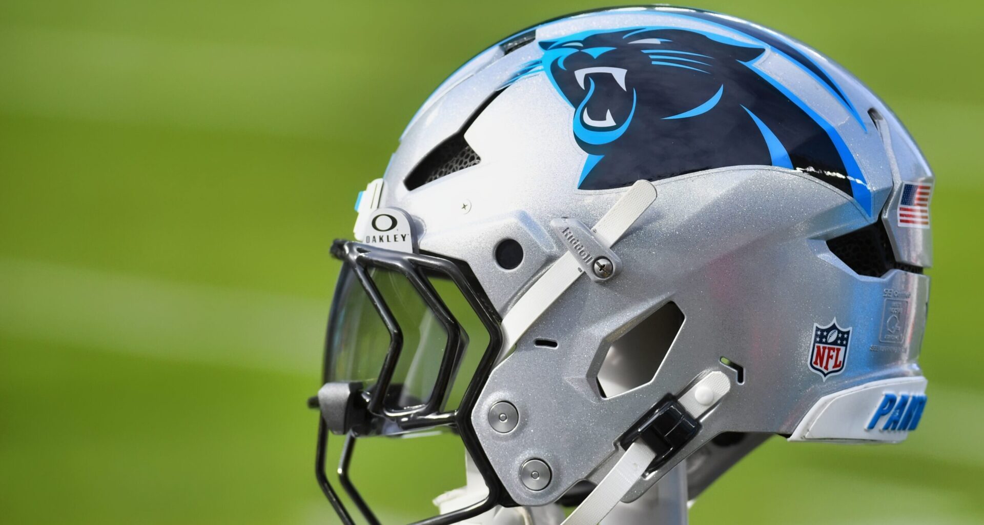 Someone Uncovered A Wild Theory That Guarantees The Carolina Panthers Are Super Bowl Bound This Season
