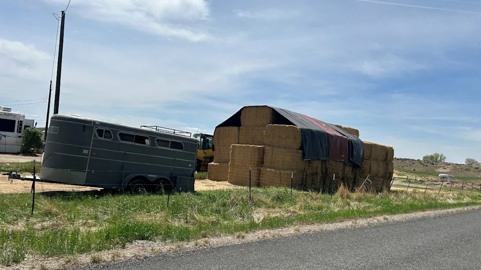 <strong>(Rick Telander / Fox 32 Chicago)</strong>