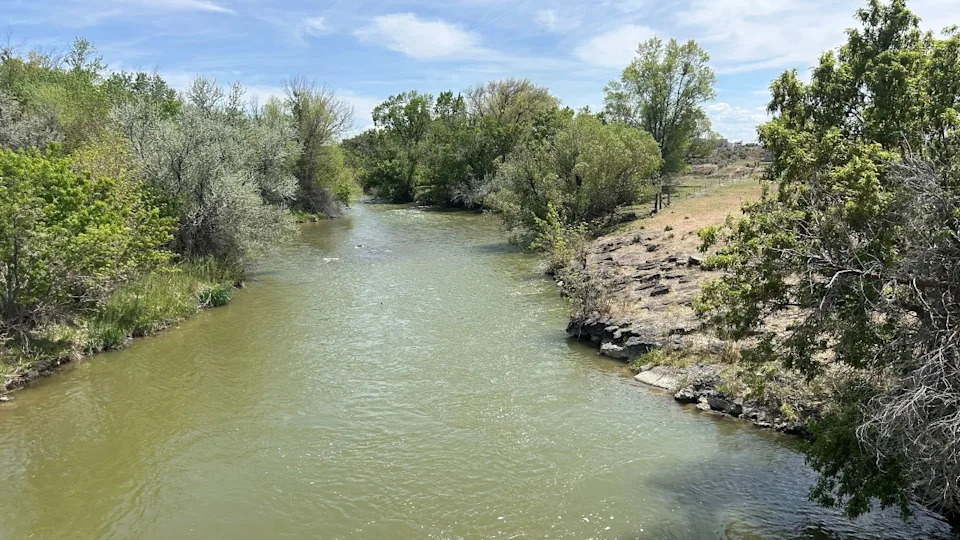 <strong>(Rick Telander / Fox 32 Chicago)</strong>