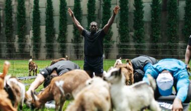 Panthers partner with Blue Cross NC for goat yoga to improve mental health