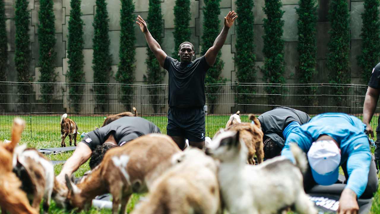 Panthers partner with Blue Cross NC for goat yoga to improve mental health