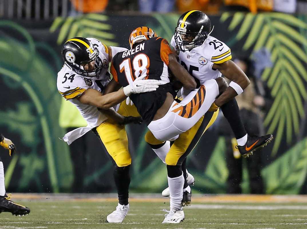 Download app from appStore