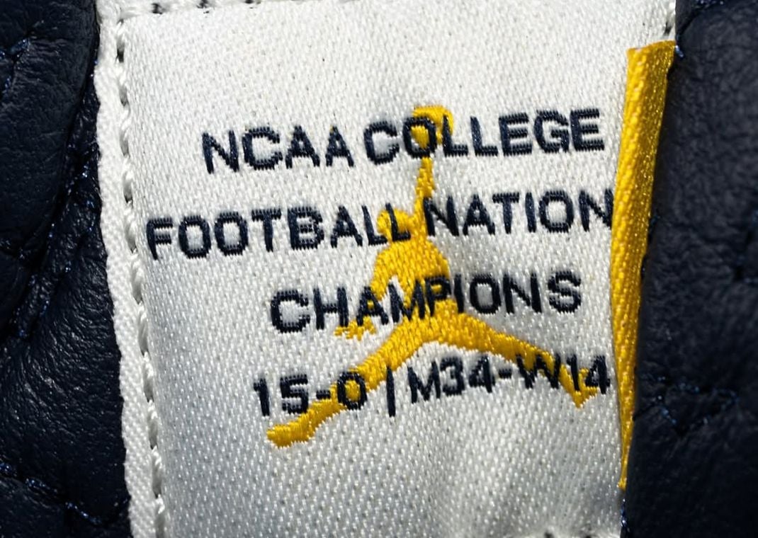 Air Jordan 12 Retro Michigan PE