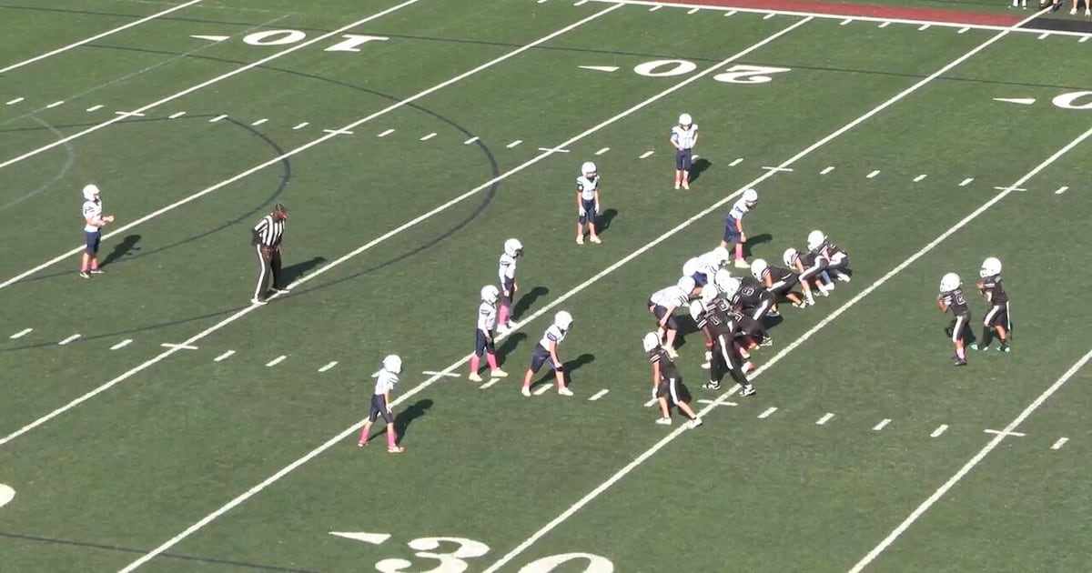 Alpharetta City Council votes to renew youth football league’s contract – WSB-TV Channel 2