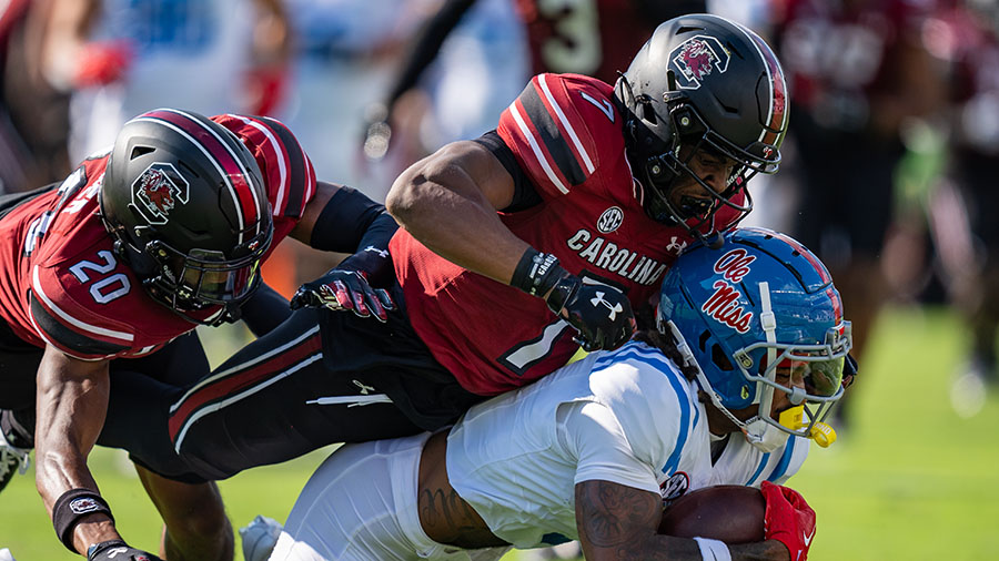 Seattle Seahawks Nick Emmanwori...