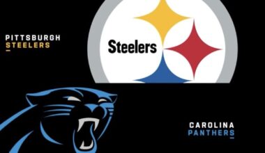 Steelers Panthers