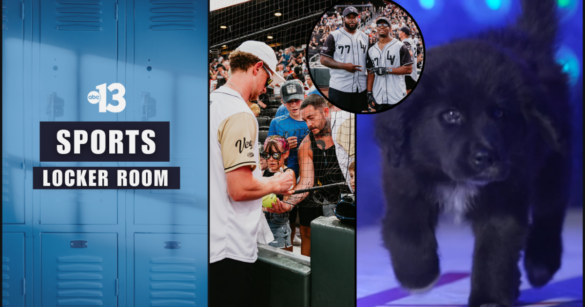 Battle for Vegas, Stanley Pup, Aces Fantasy Camp + more!