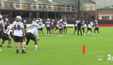 "It's a dream come true"