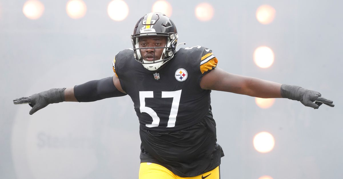 Former Steelers defender Montravius Adams to visit Bengals