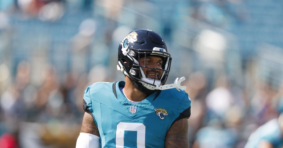 Should the Atlanta Falcons sign WR Gabe Davis?