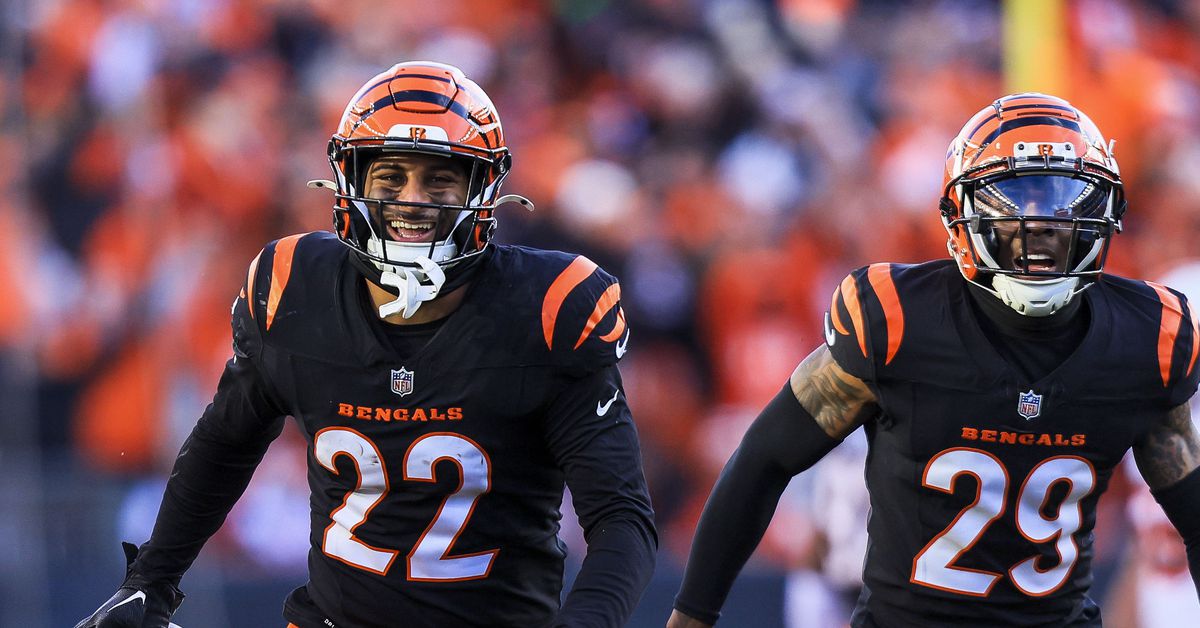 2025 Bengals Make-or-Break Year: Safety Geno Stone