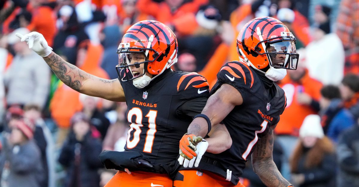 Bengals Make-or-Break Year: Wide Receiver Jermaine Burton
