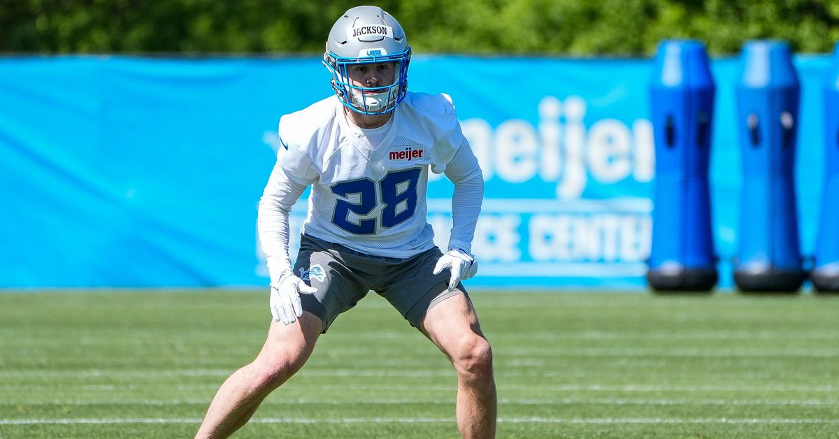 Detroit Lions Draft video: Breaking down what Dan Jackson brings