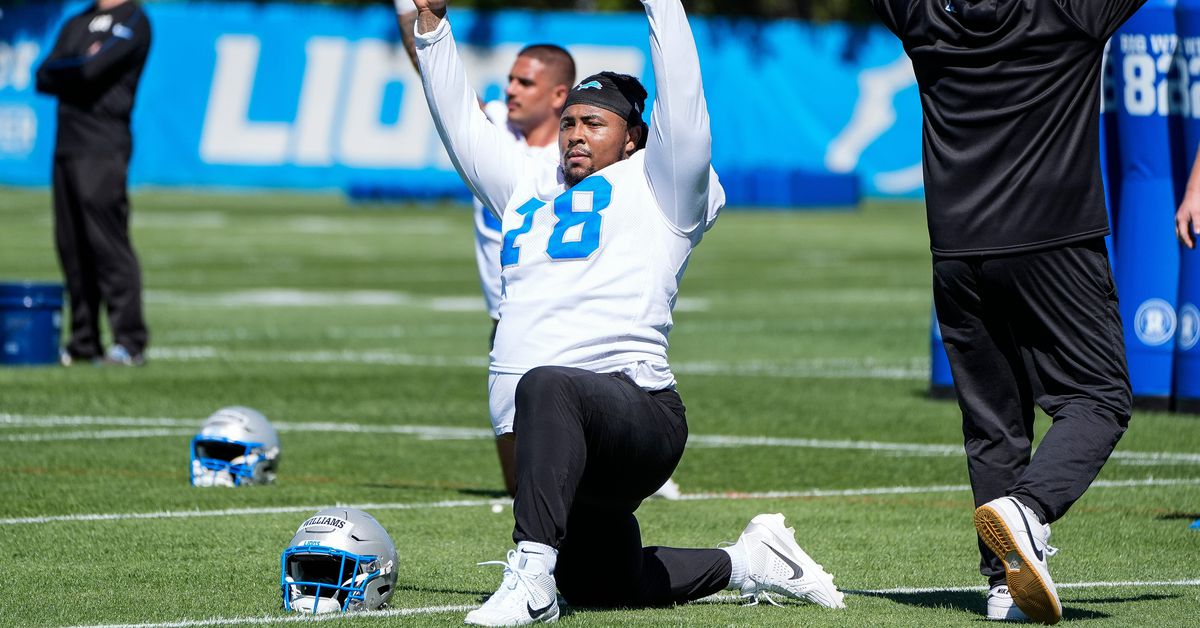 Lions 1st-round pick Tyleik Williams already impressing DJ Reader