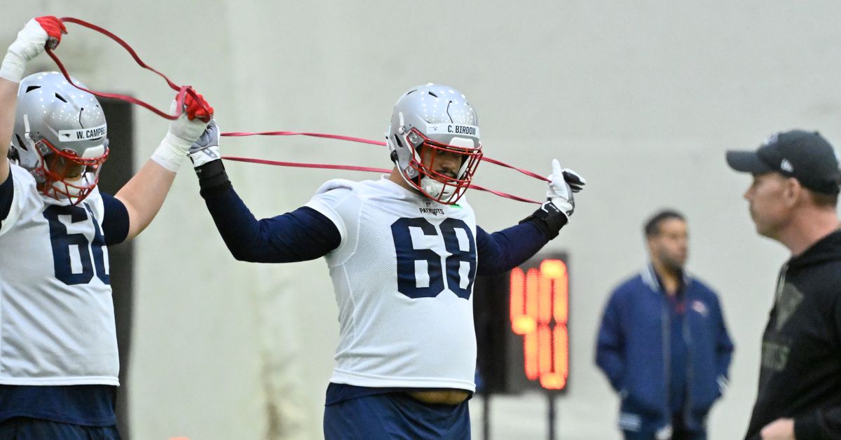 Patriots waive rookie tackle Cole Birdow, finalize trio of signings
