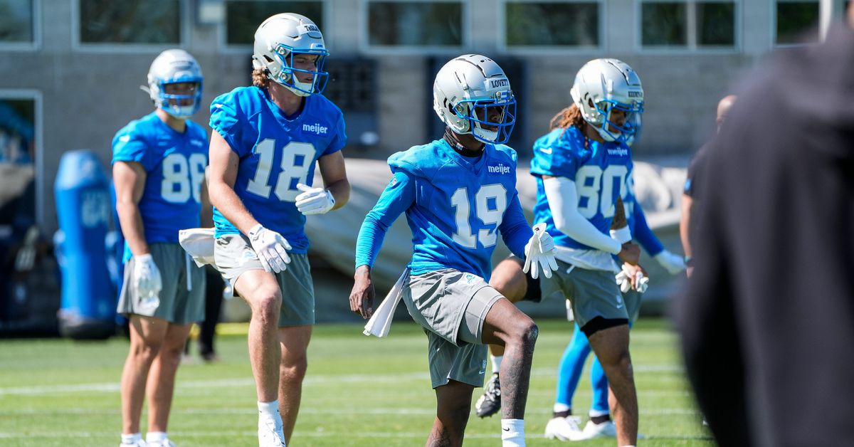 Which Lions rookie had the most encouraging debut in minicamp?