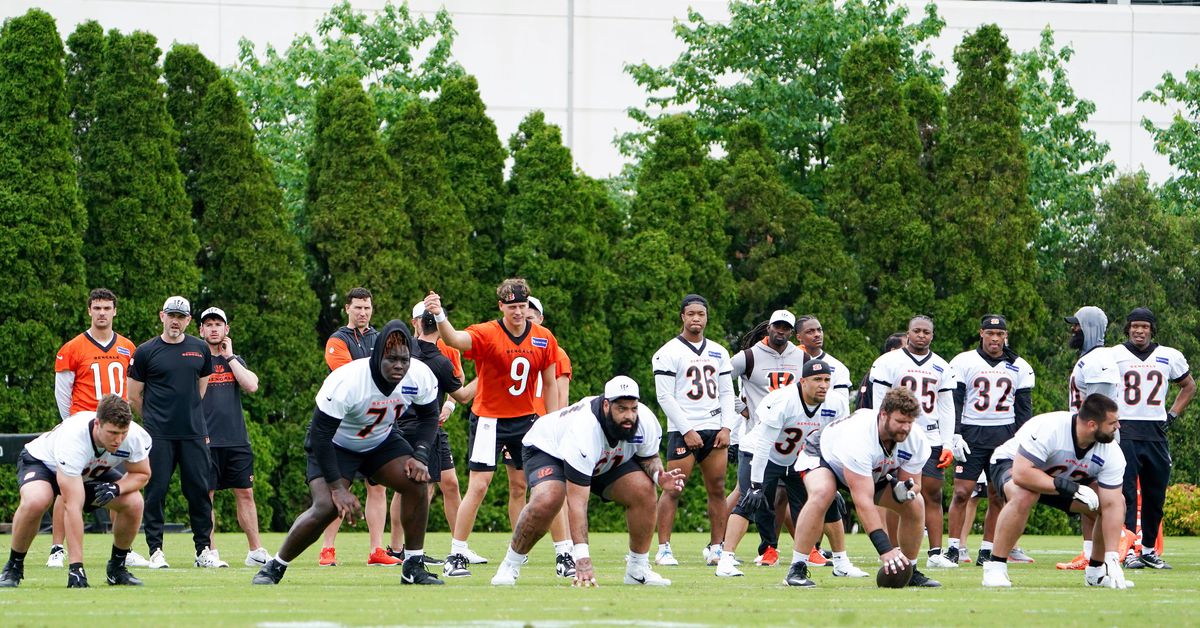 Bengals News: Favorable bye week