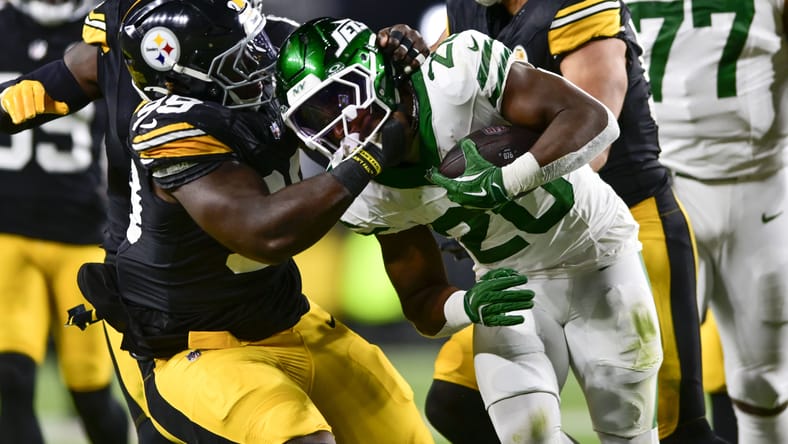 Steelers defensive tackle Larry Ogunjobi