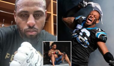 Troubled ex-NFL star-turned-UFC fighter Greg Hardy arrested for allegedly assaulting family member