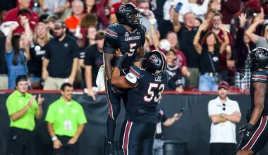 Minnesota Vikings Sign New O-Lineman, Cut Safety