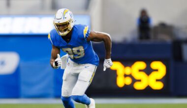 Pittsburgh Steelers TE suffers season-ending injury during OTAs