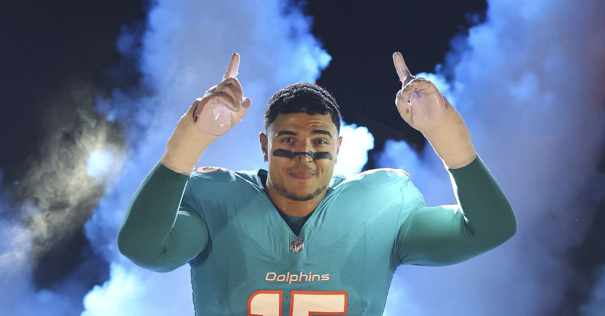 Your 2025 Dolphins Defensive Stat Leaders