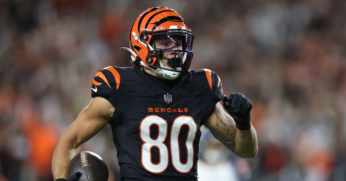 Tee Higgins hypes up Andrei Iosivas as bigger, stronger, and faster