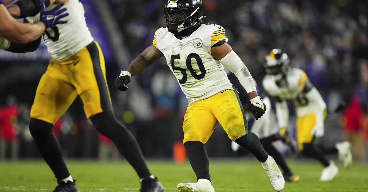 Raiders roster: Who are their 2 best linebackers in 2025