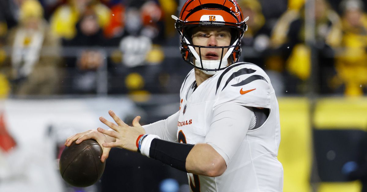 2025 Bengals Record Prediction - Cincy Jungle