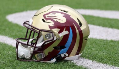 Majority of Lions fans planning on watching Michigan Panthers in UFL Championship