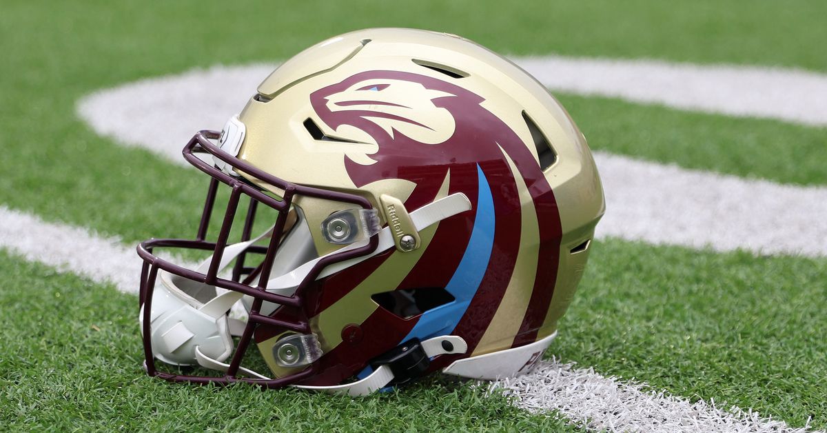 Majority of Lions fans planning on watching Michigan Panthers in UFL Championship