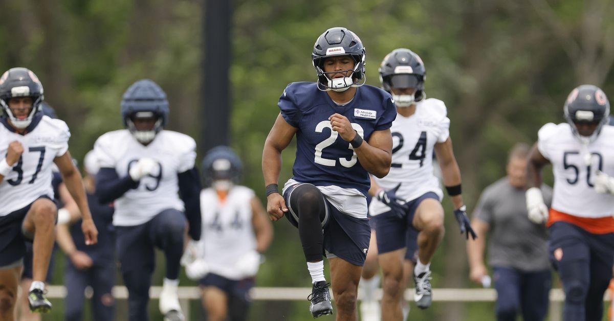 What do you expect from Roschon Johnson in 2025?